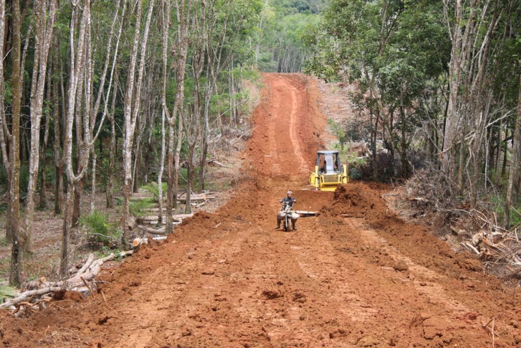 WhatsApp Image 2024-10-15 at 11.08.13 (1)