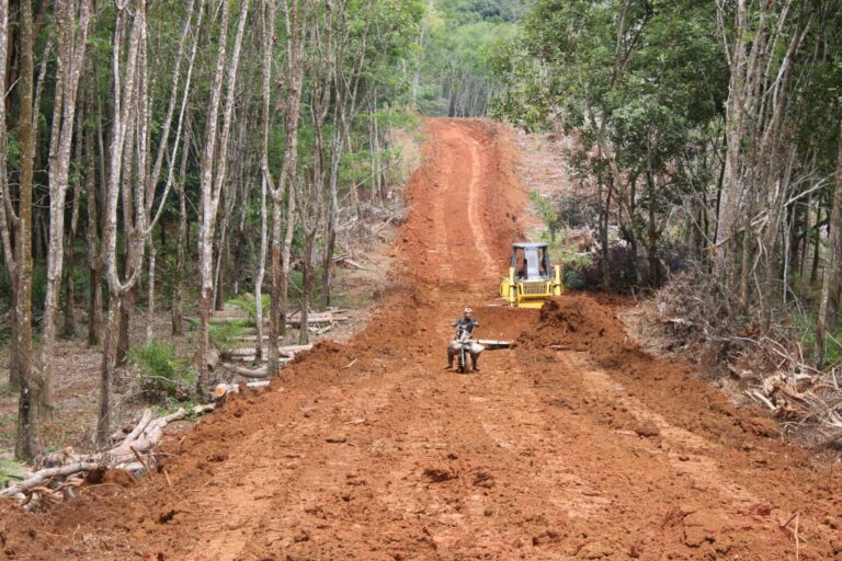 WhatsApp Image 2024-10-15 at 11.08.13 (1)