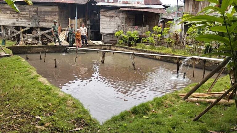 WhatsApp Image 2024-10-15 at 17.18.48