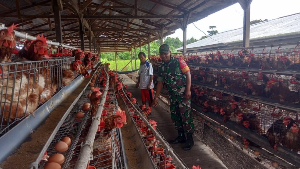 WhatsApp Image 2024-10-16 at 08.05.31