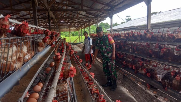 WhatsApp Image 2024-10-16 at 08.05.31