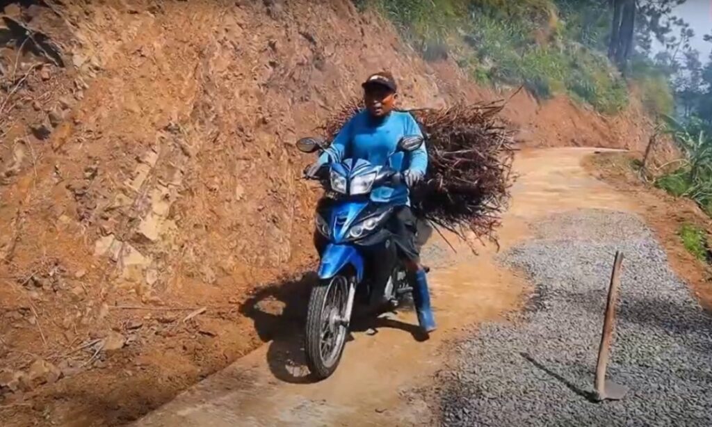 WhatsApp Image 2024-10-16 at 08.23.33