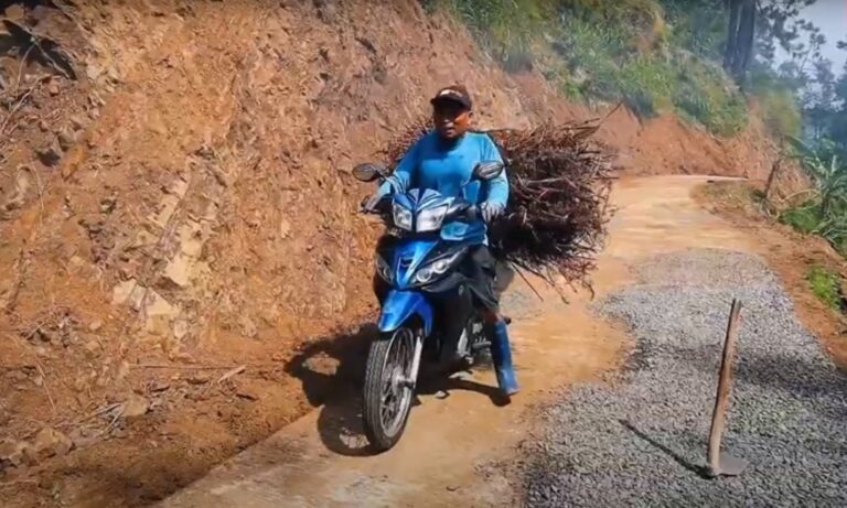 WhatsApp Image 2024-10-16 at 08.23.33