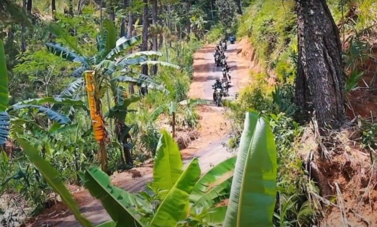 WhatsApp Image 2024-10-16 at 09.05.06