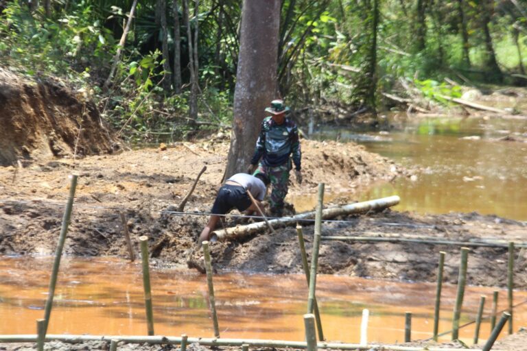 WhatsApp Image 2024-10-17 at 09.17.52 (1)