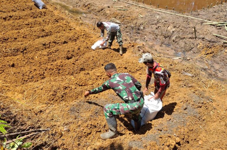 WhatsApp Image 2024-10-18 at 08.50.20