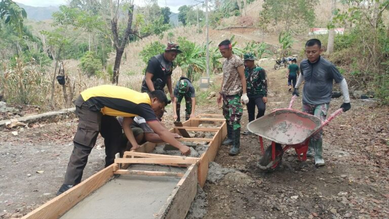 WhatsApp Image 2024-10-19 at 05.17.05