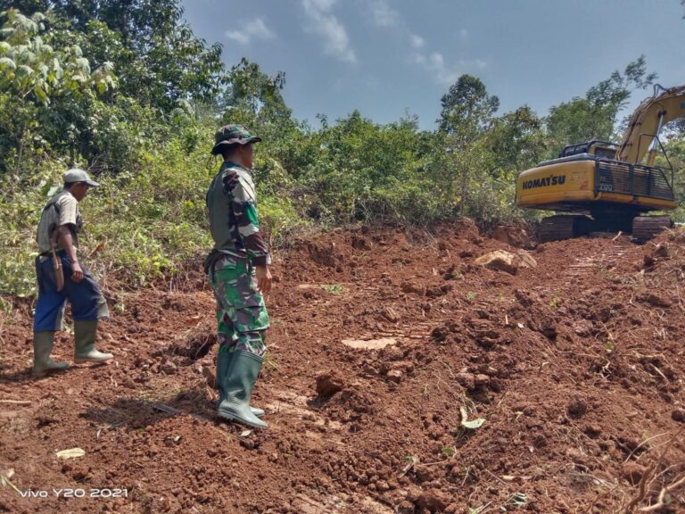 WhatsApp Image 2024-10-19 at 15.54.39