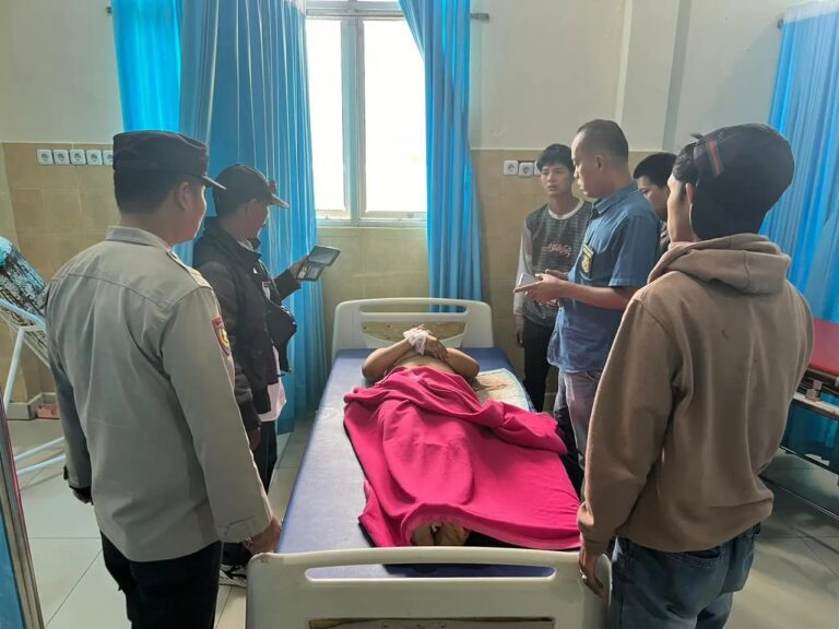 WhatsApp Image 2024-10-19 at 18.39.01