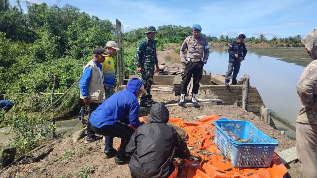 WhatsApp Image 2024-10-20 at 08.43.05