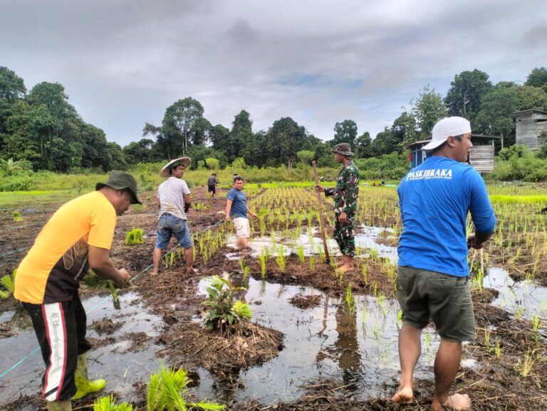 WhatsApp Image 2024-10-20 at 09.58.44