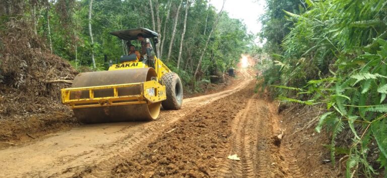 WhatsApp Image 2024-10-20 at 11.21.06