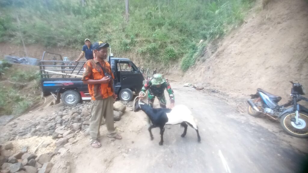 WhatsApp Image 2024-10-21 at 15.03.48