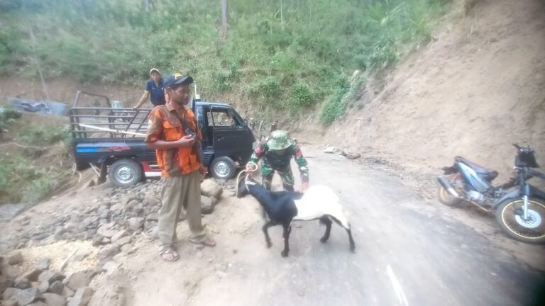 WhatsApp Image 2024-10-21 at 15.03.48