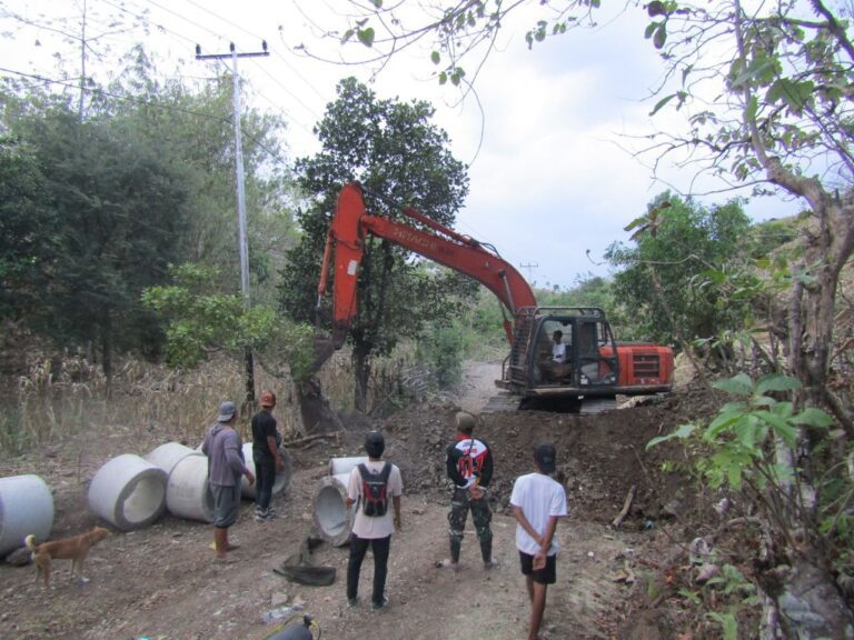 WhatsApp Image 2024-10-21 at 16.29.25