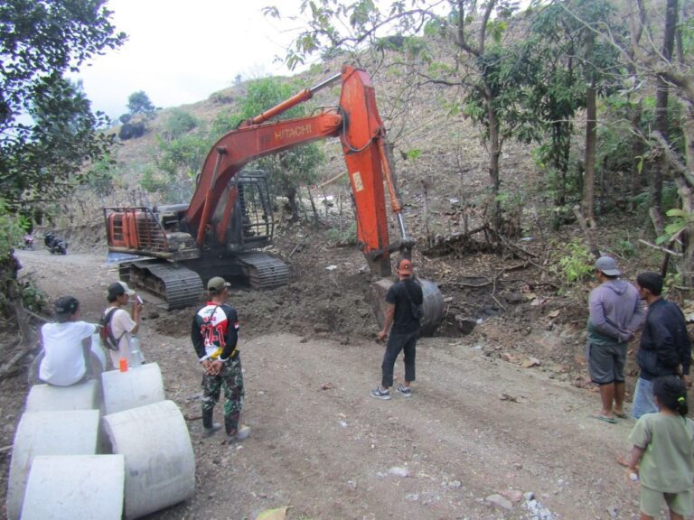 WhatsApp Image 2024-10-21 at 16.30.17