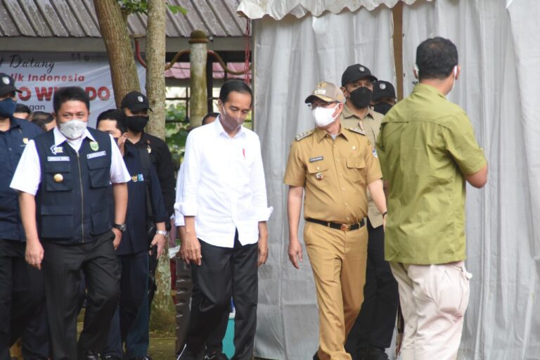 WhatsApp Image 2024-10-22 at 11.58.22