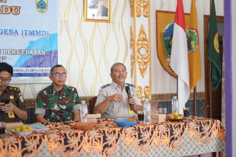 WhatsApp Image 2024-10-22 at 15.47.23