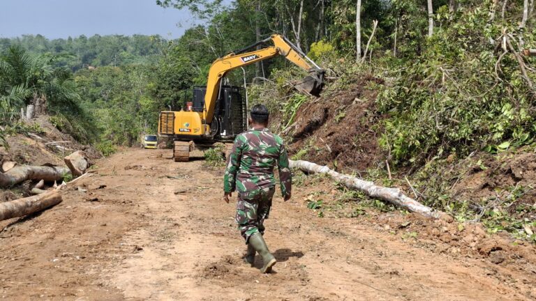 WhatsApp Image 2024-10-23 at 09.58.22