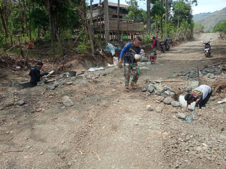 WhatsApp Image 2024-10-23 at 12.34.13