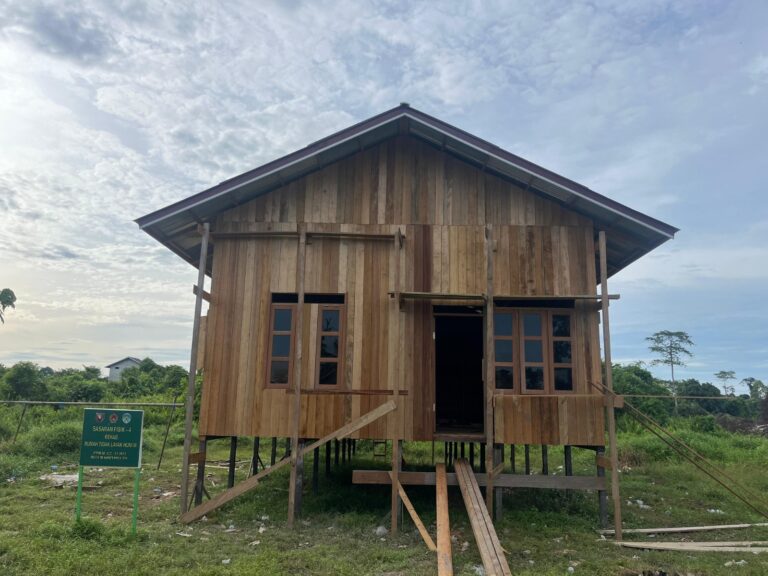 WhatsApp Image 2024-10-24 at 07.57.08