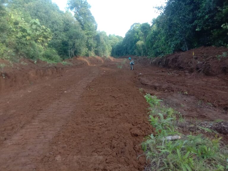 WhatsApp Image 2024-10-24 at 07.57.11