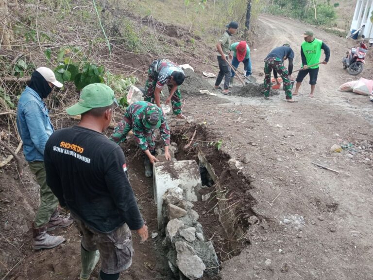 WhatsApp Image 2024-10-24 at 17.45.51