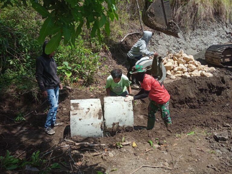 WhatsApp Image 2024-10-25 at 15.23.29