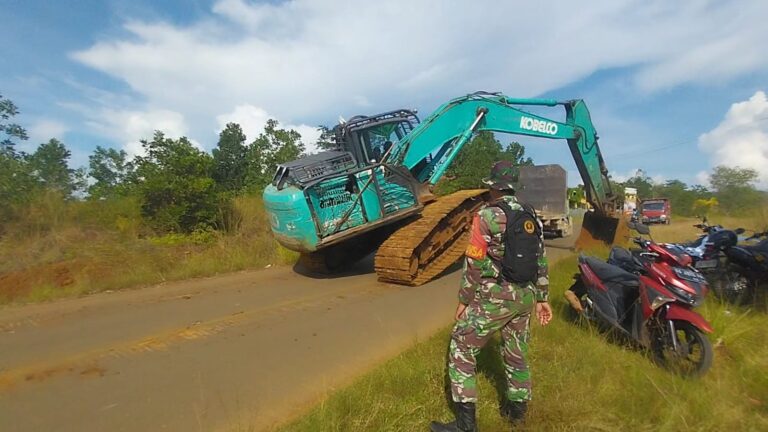 WhatsApp Image 2024-10-26 at 08.42.06