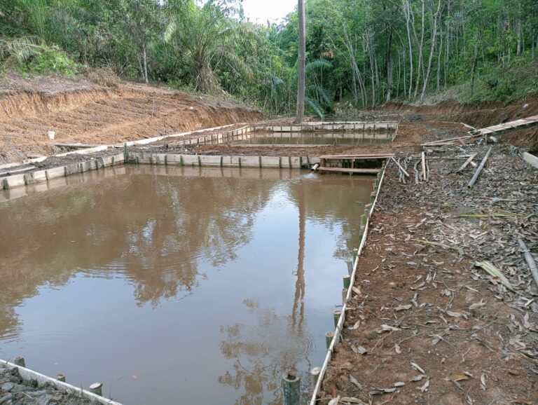 WhatsApp Image 2024-10-26 at 11.09.25