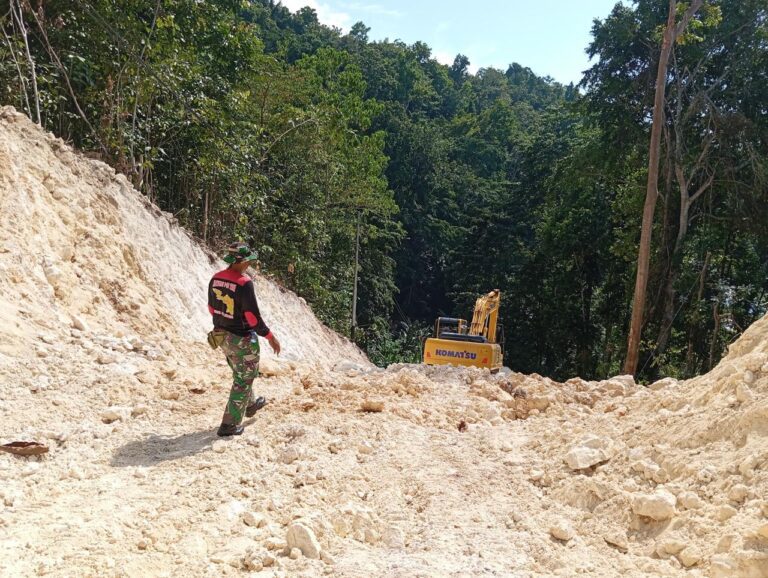 WhatsApp Image 2024-10-27 at 08.11.31 (1)