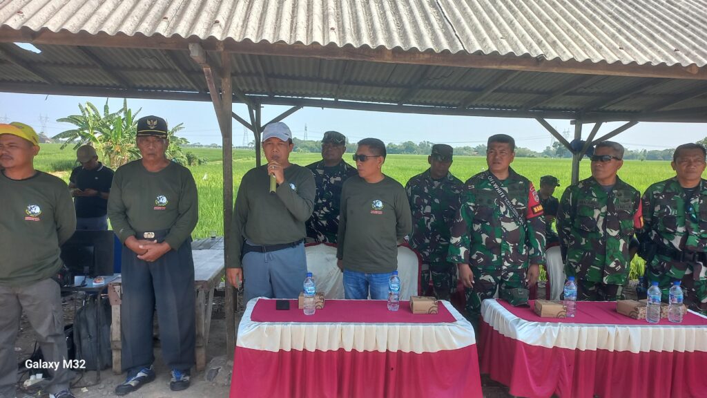 WhatsApp Image 2024-10-27 at 11.19.36 (1)