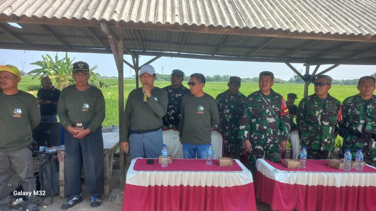 WhatsApp Image 2024-10-27 at 11.19.36 (1)