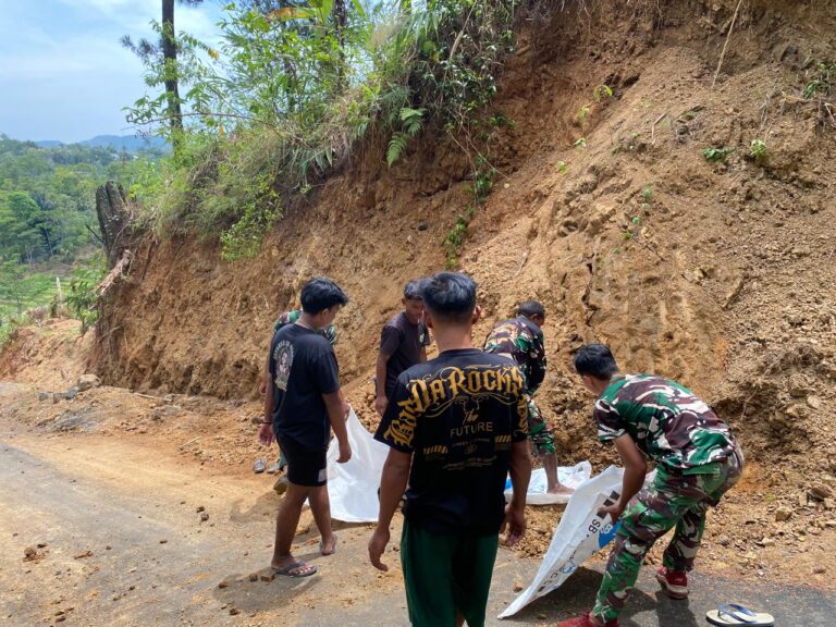 WhatsApp Image 2024-10-27 at 11.40.31