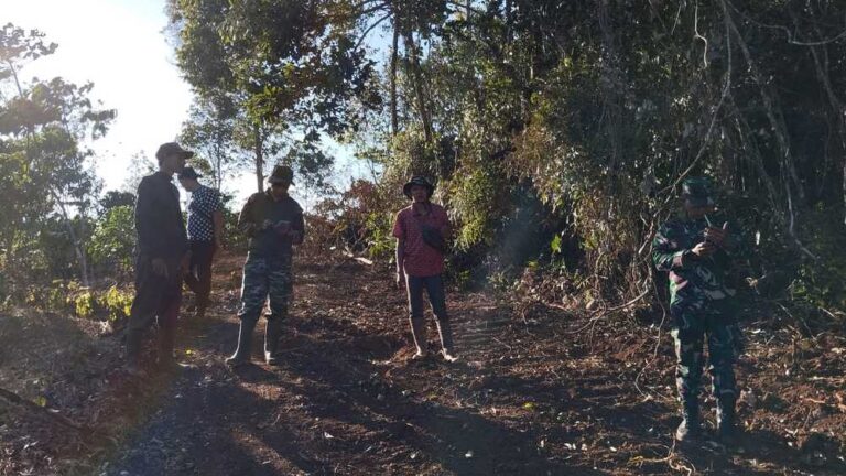 WhatsApp Image 2024-10-27 at 14.42.02