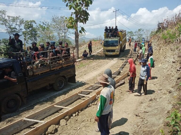 WhatsApp Image 2024-10-27 at 15.41.27