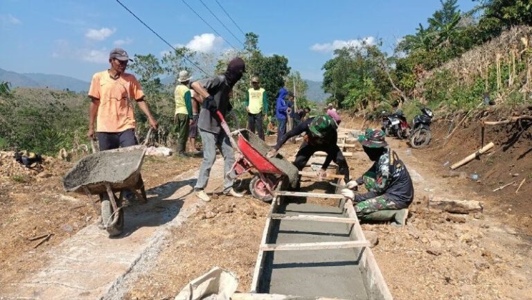 WhatsApp Image 2024-10-27 at 15.43.00