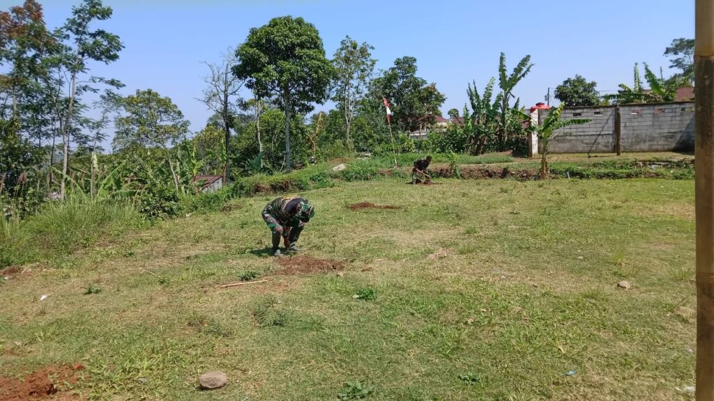 WhatsApp Image 2024-10-28 at 11.10.42