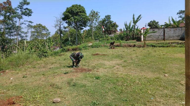 WhatsApp Image 2024-10-28 at 11.10.42