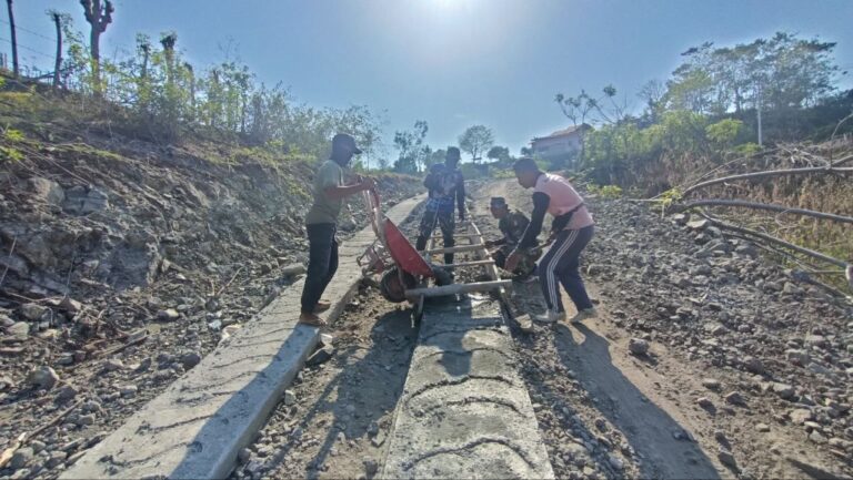 WhatsApp Image 2024-10-28 at 11.26.22