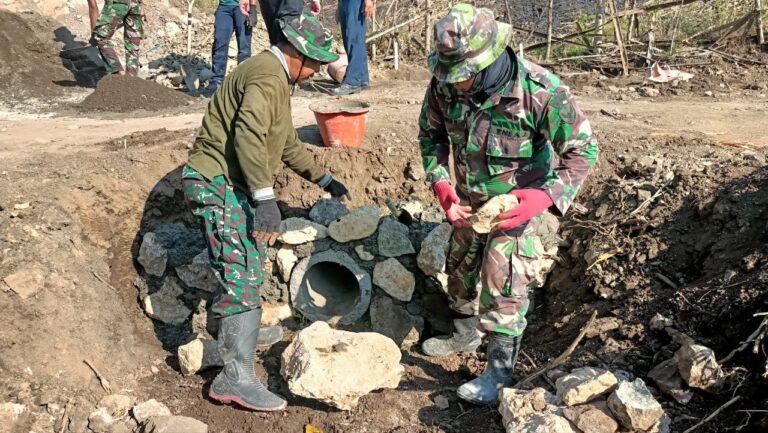 WhatsApp Image 2024-10-28 at 11.26.46