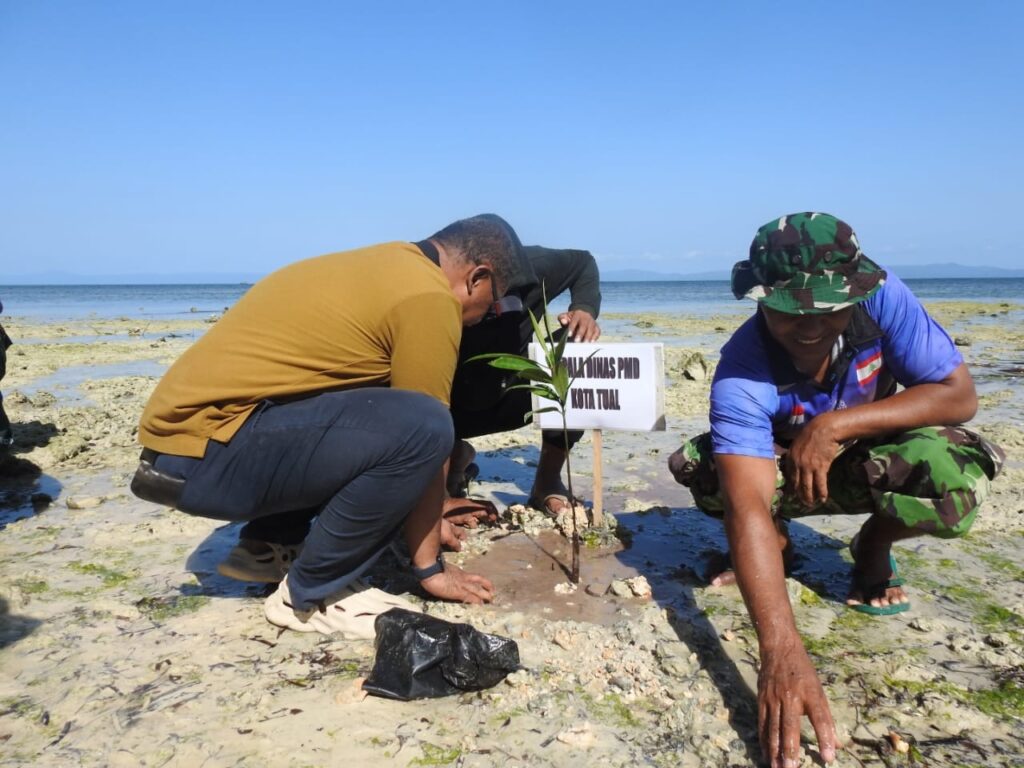 WhatsApp Image 2024-10-28 at 11.59.46