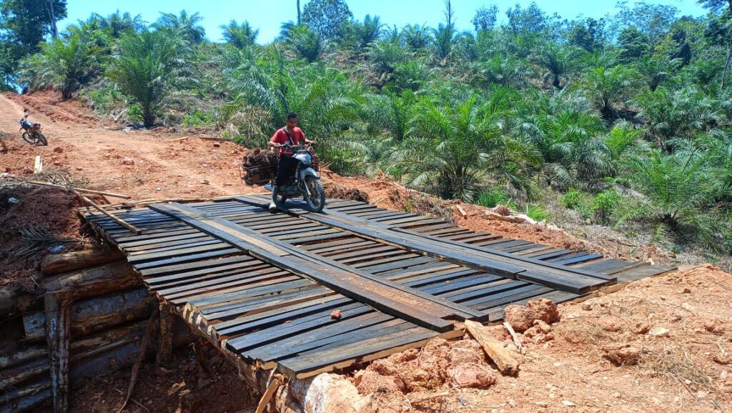 WhatsApp Image 2024-10-29 at 10.28.16 (1)