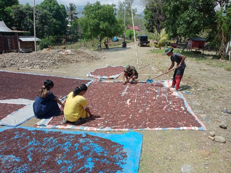 WhatsApp Image 2024-10-29 at 11.20.48