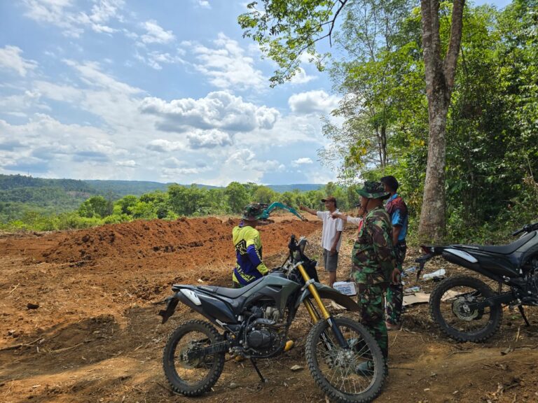 WhatsApp Image 2024-10-29 at 14.47.12