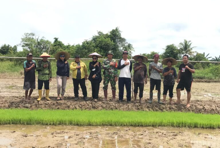 WhatsApp Image 2024-10-30 at 08.22.26