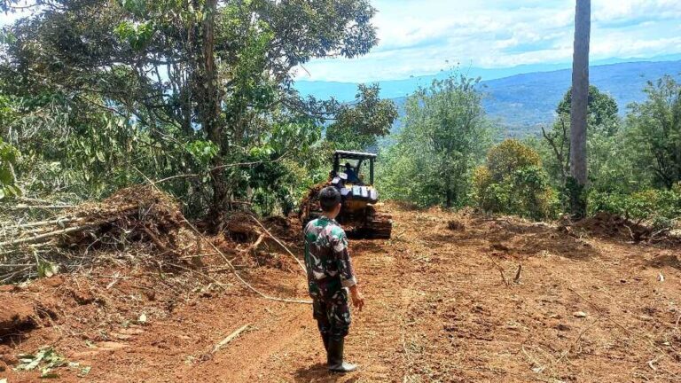 WhatsApp Image 2024-10-30 at 13.43.17