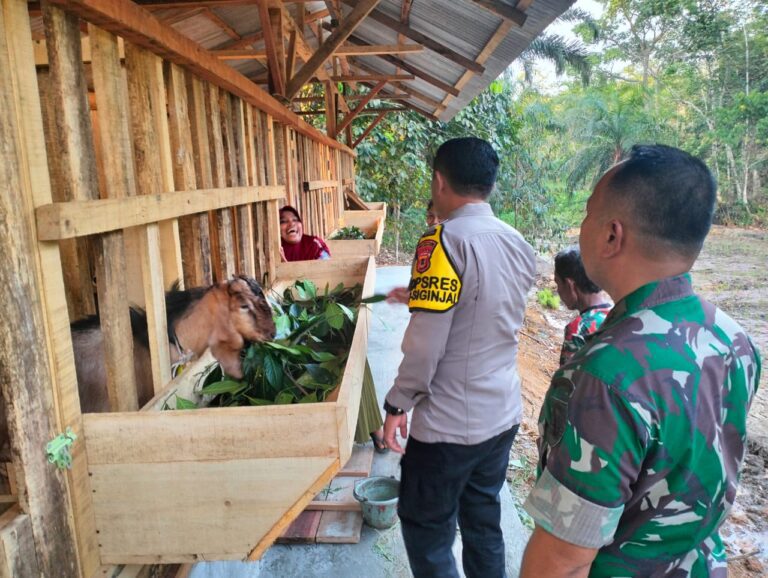 WhatsApp Image 2024-10-31 at 07.52.24