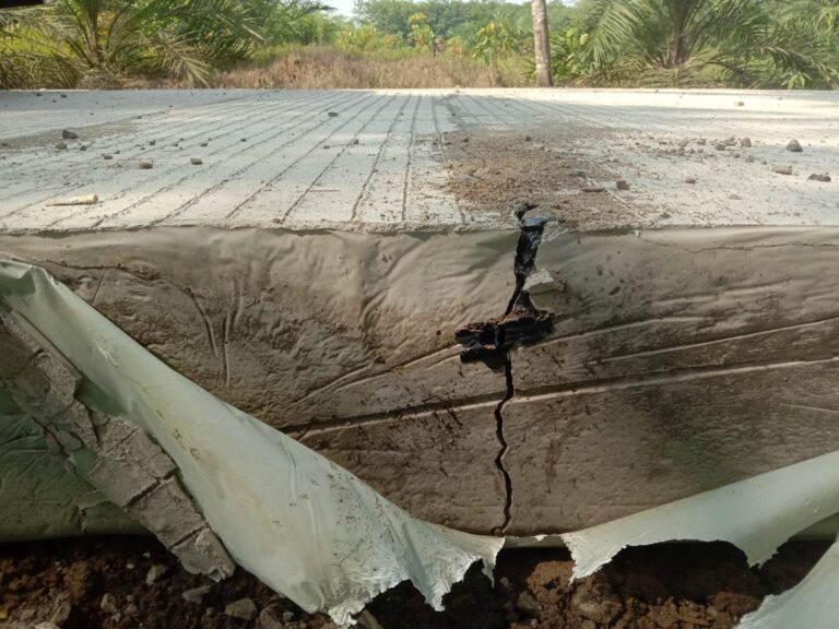 WhatsApp Image 2024-11-08 at 10.26.34