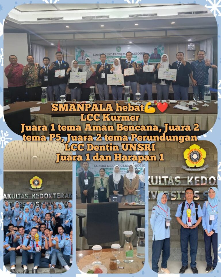 WhatsApp Image 2024-11-11 at 10.17.24